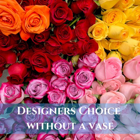Designer's Choice (No Vase)
