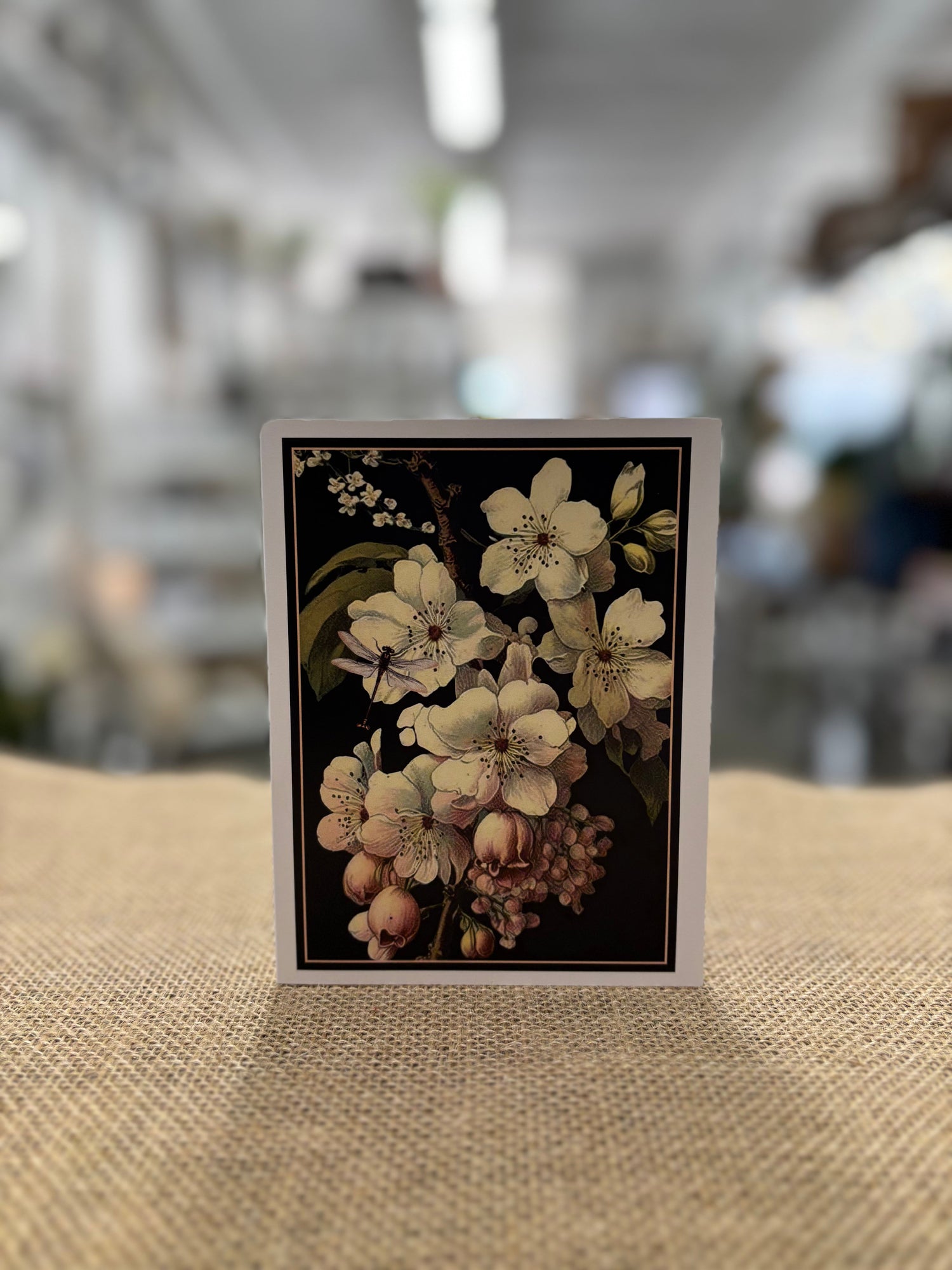 Little Notes & Laughs