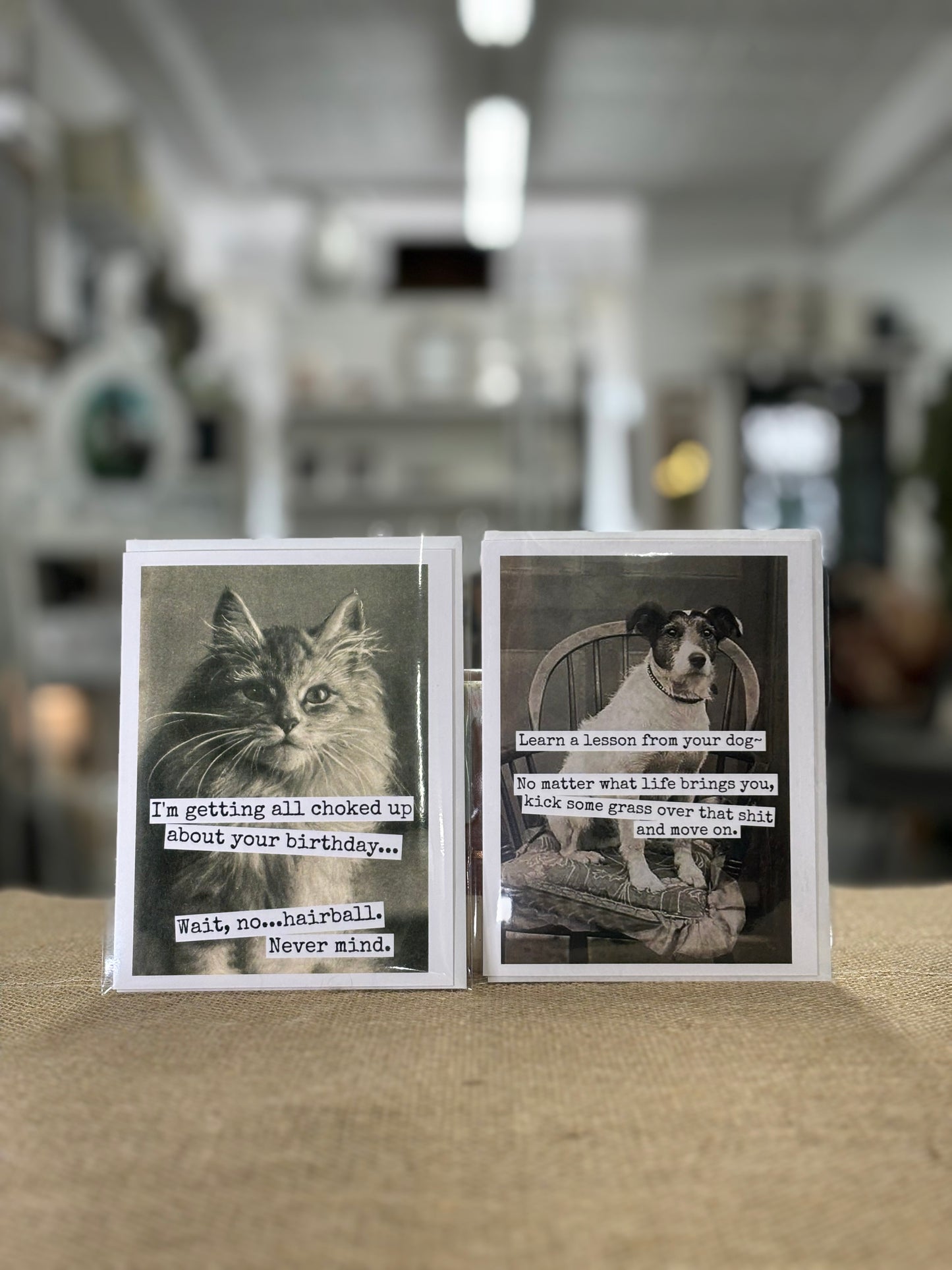 Raven's Rest Studio Cards